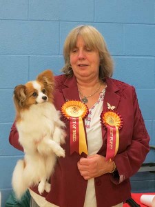 Merseyside Toy Dog Club Open Show 2015